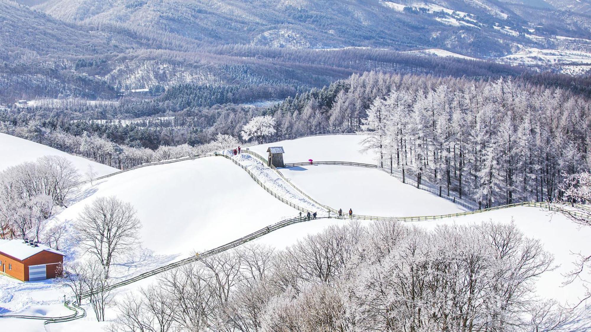 Holiday Inn Resort Alpensia Pyeongchang By Ihg Exterior photo